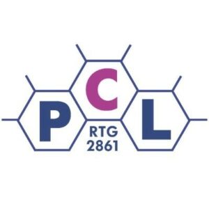 Logo: RTG 2861 – Planar Carbon Lattices